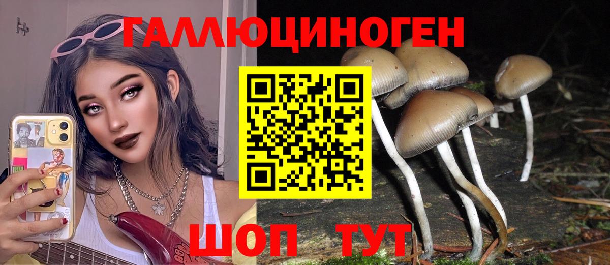 Псилоцибиновые грибы GOLDEN TEACHER Мурино