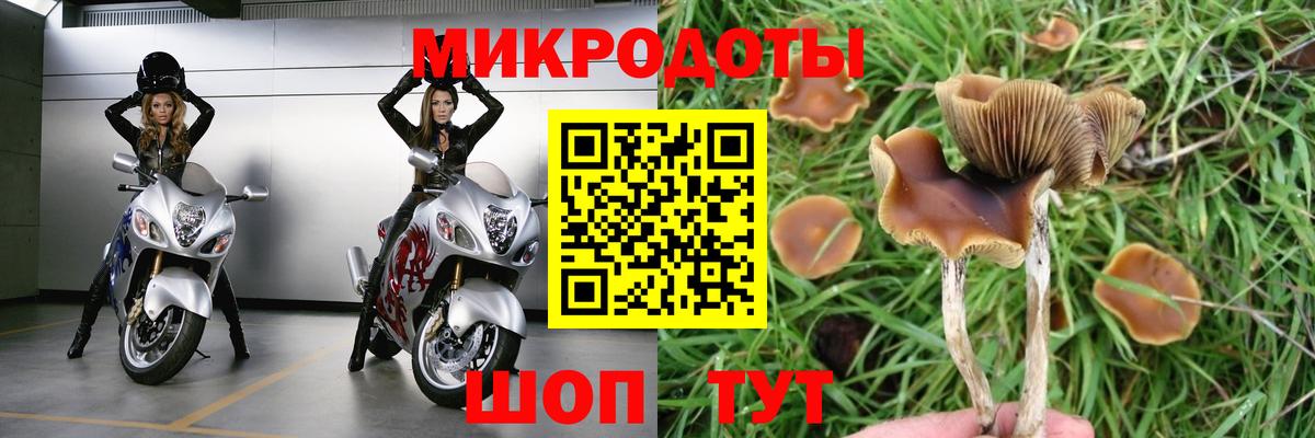 Псилоцибиновые грибы GOLDEN TEACHER  Вход с VPN  наркошоп  Мурино 